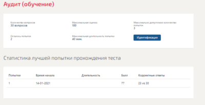 Аудит.Тест Синергия 2021г.