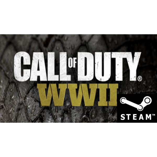 ⭐ Call of Duty: WWII — STEAM (Region free) COD