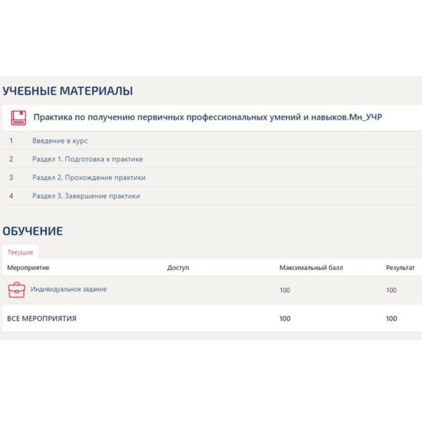Практика Менеджмент Синергия (Управление ресурсами)