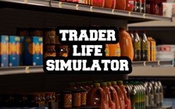 Trader Life Simulator | Steam | Region Free