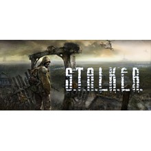 S.T.A.L.K.E.R.: Shadow of Chernobyl  / STEAM 🌋 GIFT 💯 - irongamers.ru