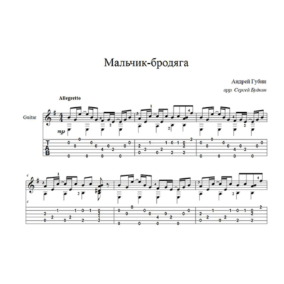 Мальчик-бродяга (Андрей Губин) для гитары