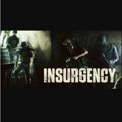 🟩 Insurgency STEAM KEY+BONUS