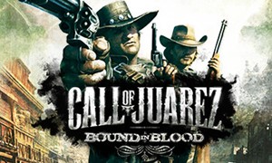 Call of Juarez: Bound in Blood (STEAM KEY /REGION FREE)