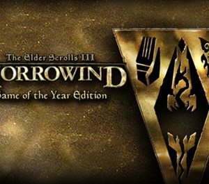 Обложка The Elder Scrolls III: Morrowind® GOTY / RU+СНГ