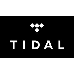 TIDAL Premium 🎧 3 МЕСЯЦА 🔥ЧАСТНЫЙ АККАУНТ 🔥ГАРАНТИЯ