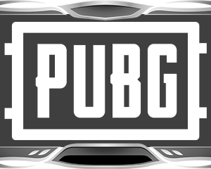 BTG | PUBG-Steam | 30 дней