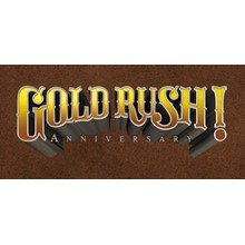 Gold Rush! Anniversary Steam Key REGION FREE