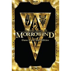 Elder Scrolls III Morrowind GOTY (Steam Gift RegFree)