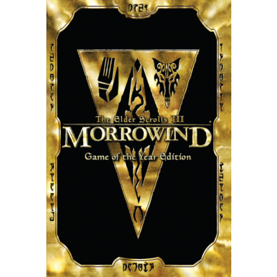 Elder Scrolls III Morrowind GOTY (Steam Gift RegFree)