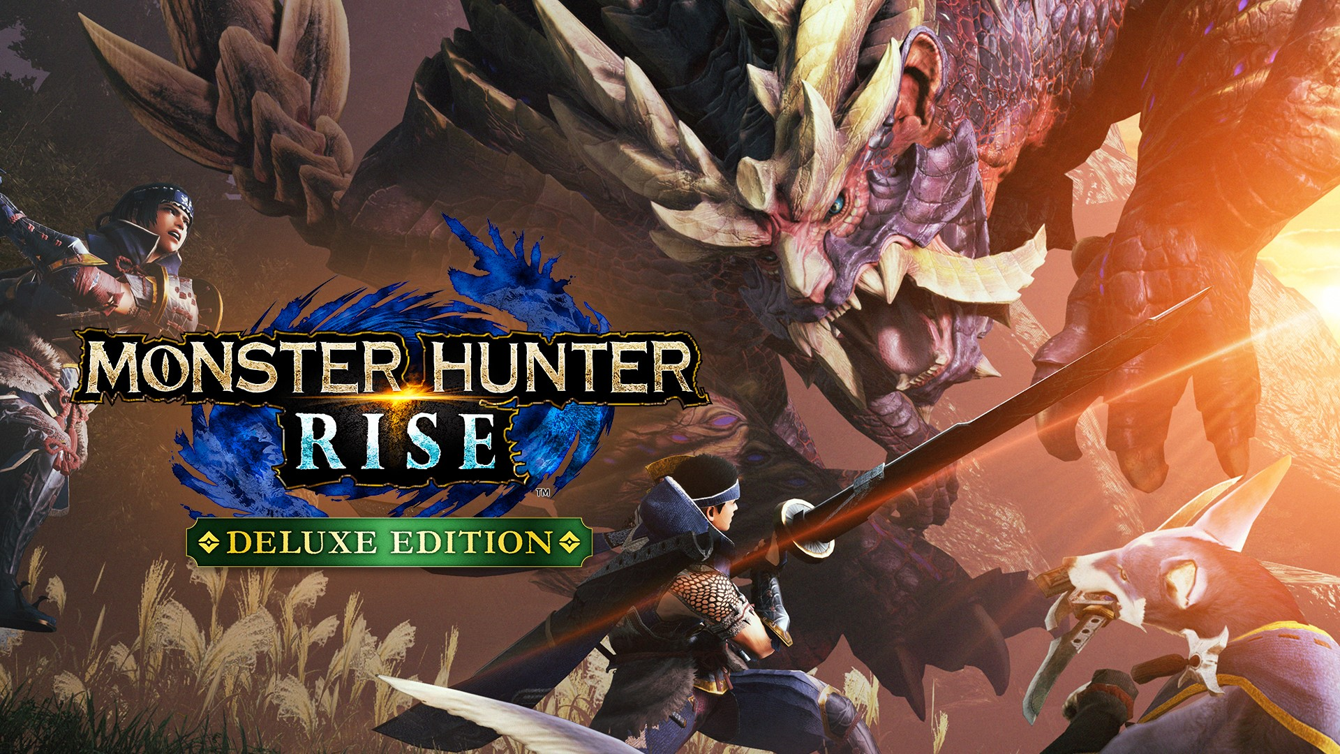 Monster hunter rise карта