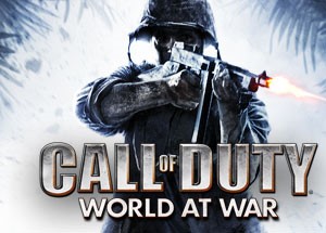 Обложка Call of Duty: World at War 💎 STEAM GIFT RU