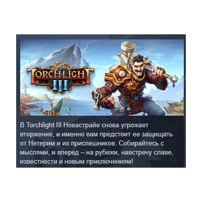 Torchlight 3 III АВТОДОСТАВКА STEAM GLOBAL МГНОВЕННО ЛИЦЕНЗИЯ