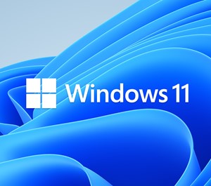 Обложка Windows 10 Pro (с обновлением до 11) 3 ПК