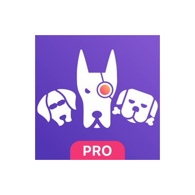 ⚡️ Моя статистика для ВКонтакте iPhone ios Appstore +🎁