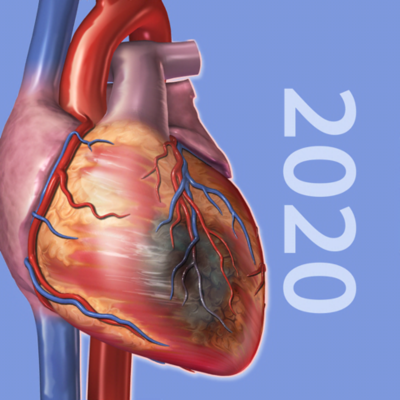 ⚡️ Physiology & Pathology iPhone ios iPad Appstore + 🎁