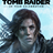  Rise of the Tomb Raider: 20 Year  (Steam) RU CIS 