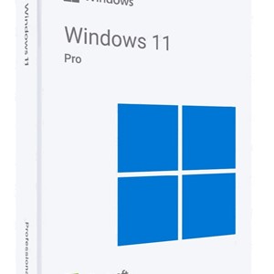 Windows 11 Professional 2ПК