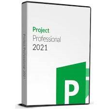 Microsoft Project Professional 2021-1pc