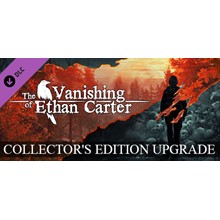 ✅The Vanishing of Ethan Carter PS Турция На ВАШ аккаунт - irongamers.ru