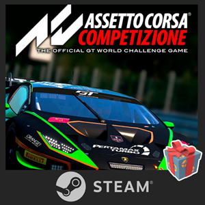 Assetto Corsa Competizion [STEAM] Лицензия + ПОДАРОК 🎁