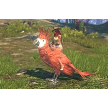 ⭐️ Elyon Red Parrot Mount - KAKAO GAMES Key GLOBAL