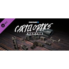 PAYDAY 2: Cartel Optics Mod Pack 💎 DLC STEAM GIFT RU