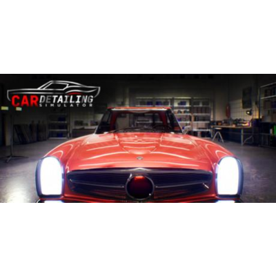 Car Detailing Simulator - Steam аккаунт оффлайн💳