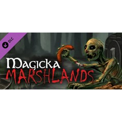 Magicka: Marshlands 💎 АВТОДОСТАВКА DLC STEAM GIFT RU