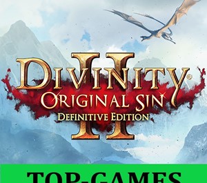 Обложка Divinity: Original Sin 2 - Definitive Ed | Region Free