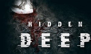 Hidden Deep Supporter Bundle / STEAM АККАУНТ / ГАРАНТИЯ