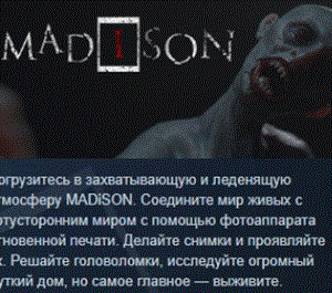 Обложка MADiSON 💎 АВТОДОСТАВКА STEAM РОССИЯ