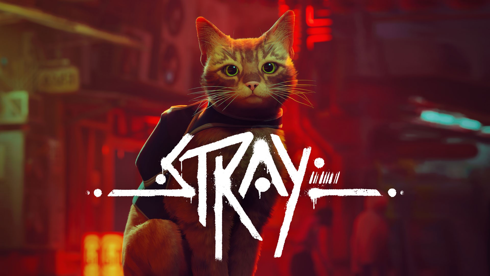 Обложка 💻🐈 STRAY 🐈 Steam ☘️ + 🎁 Подарки 🎁