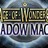 Age of Wonders Shadow Magic  STEAM GIFT RU