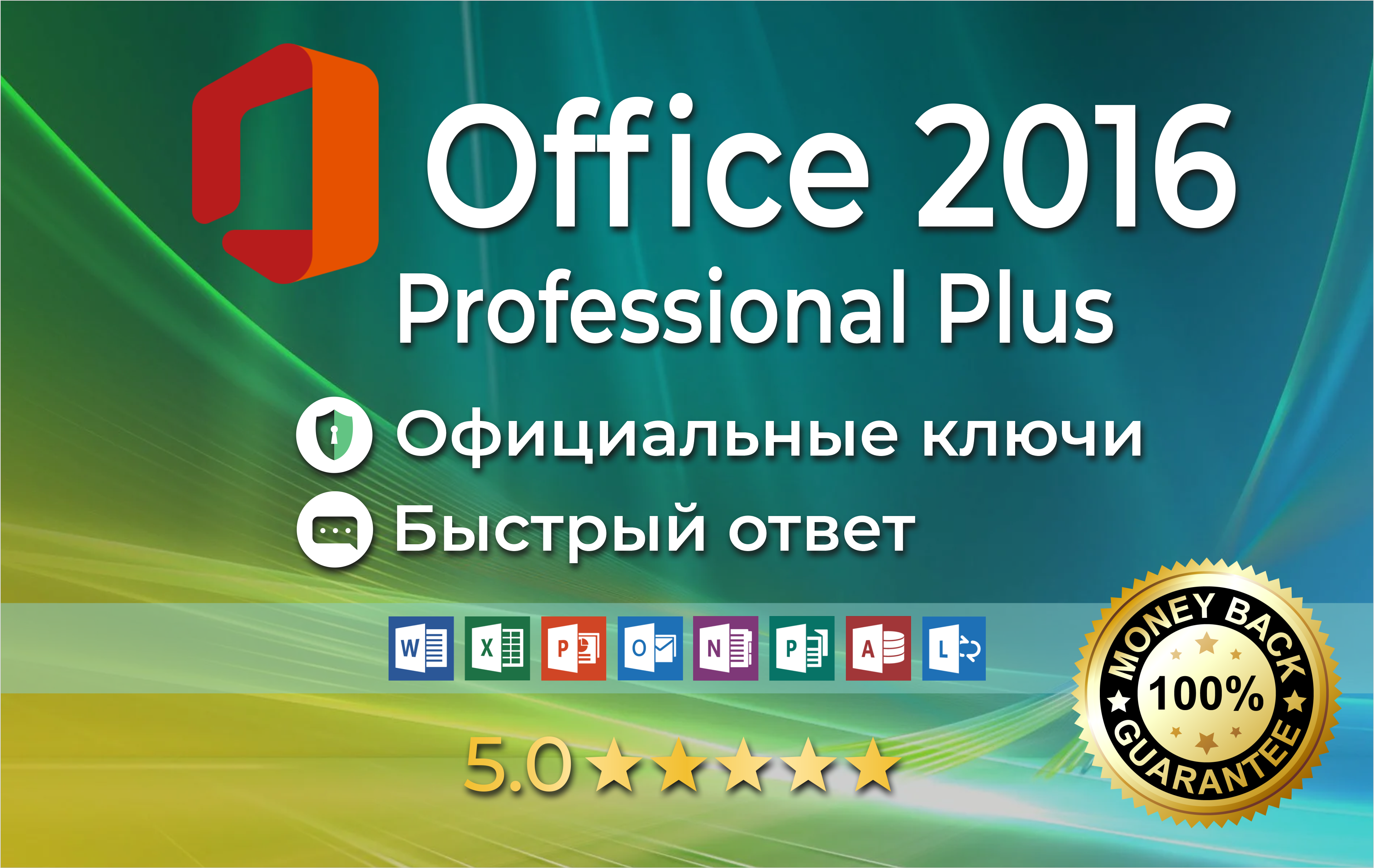 Обложка Microsoft Office 2016 Pro Pluse лицензия бессрочно