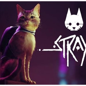 💠 Stray (PS4/PS5/RU) (Аренда от 3 дней)