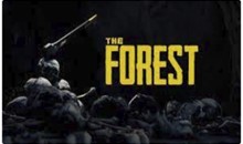 💠 Forest (PS4/PS5/EN) (Аренда от 7 дней)
