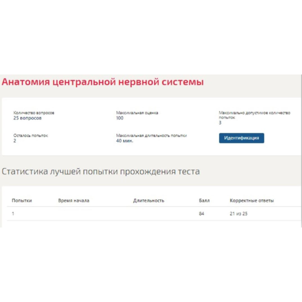 Анатомия центральной нервной системы ответы Синергия