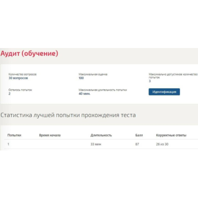 Аудит ответы Синергия МФПУ (ВСЕ ТЕСТЫ)