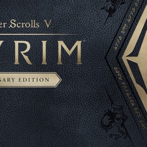 ✅ The Elder Scrolls V Skyrim Anniversary 0% Комиссия💳