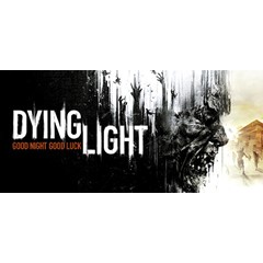 ✅Dying Light The Following Enhanced Edition STEAM Ключ