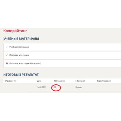 Копирайтинг.Тест Синергия 2022г