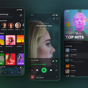 Spotify Premium | 1 months subscriptions | To your acc