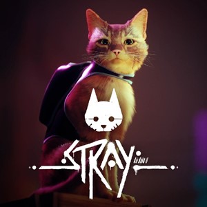 🔥 Stray  ✅ STEAM | GIFT ✅ Turkey + 🎁