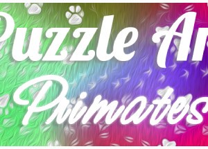 Puzzle Art: Primates