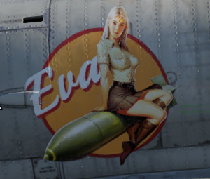 Обложка Купон - Стартовый набор War Thunder + декаль Ева Эльфи