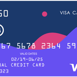 Ebay Automatic Payment+PayPal VCC Card Visa WorldWide✅
