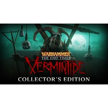 Warhammer: End Times - Vermintide | Steam Gift [Россия]