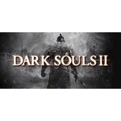 Dark Souls II (Steam key) RU CIS