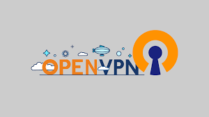 Обложка OPEN VPN profile activation file at 1Gb/s speed